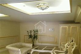 فروش آپارتمان مسکونی 290 متری در دروس تهران
