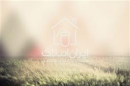 فروش خانه مسکونی 420 متری در آزادگان کرج