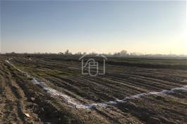 فروش زمین زمین زراعی 1000 متری در شهریار شهریار